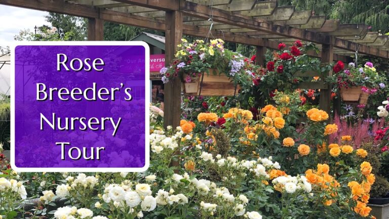 A Visit to Select Roses: Behind the Scenes with Brad Jalbert