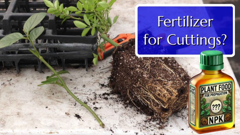 How to Fertilize Cuttings: A Complete Guide to Propagating Healthy Plants