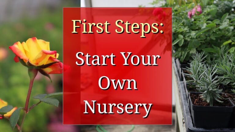 How to Start Your Own Plant Nursery: A Step-by-Step Guide