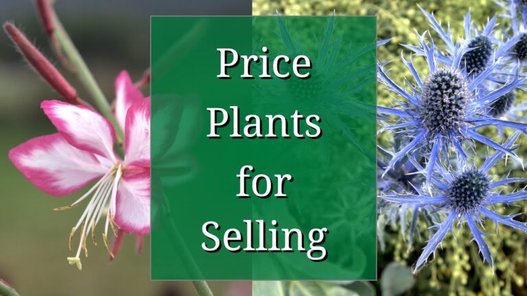 How to Price Your Plants for Sale: A Practical Guide for Small Growers