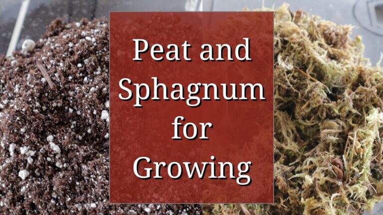 Peat and Sphagnum Moss: Balancing Horticultural Value and Sustainability