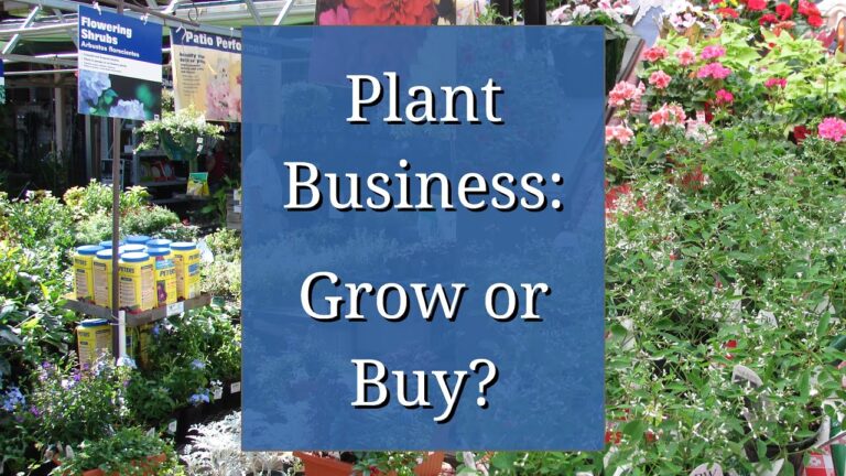 The Pros and Cons of Buying Plants for Your Nursery Business