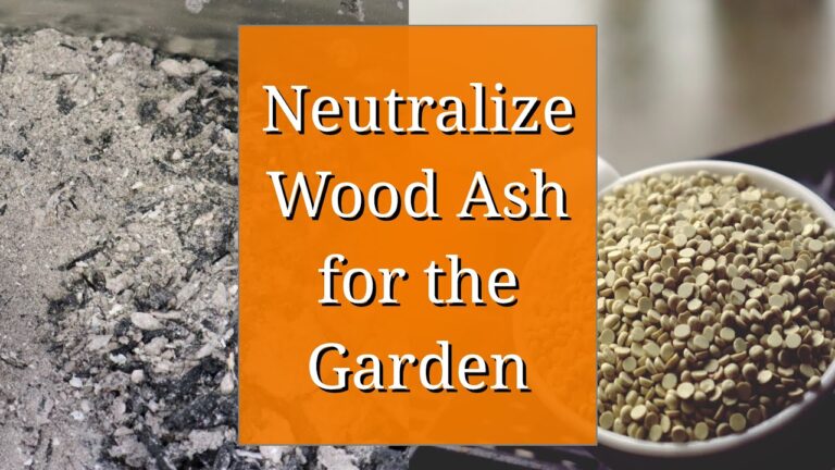 The Sustainable Use of Wood Ash in the Garden: Benefits and Considerations